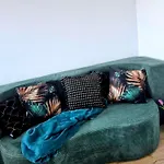 Apartament Moderna