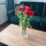 Moderna Apartament *