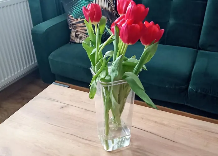 Moderna Appartement *